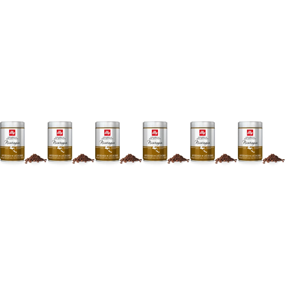 illy - ziarna kawy - 6 x Arabica Selection - Nikaragua - 250 gramów