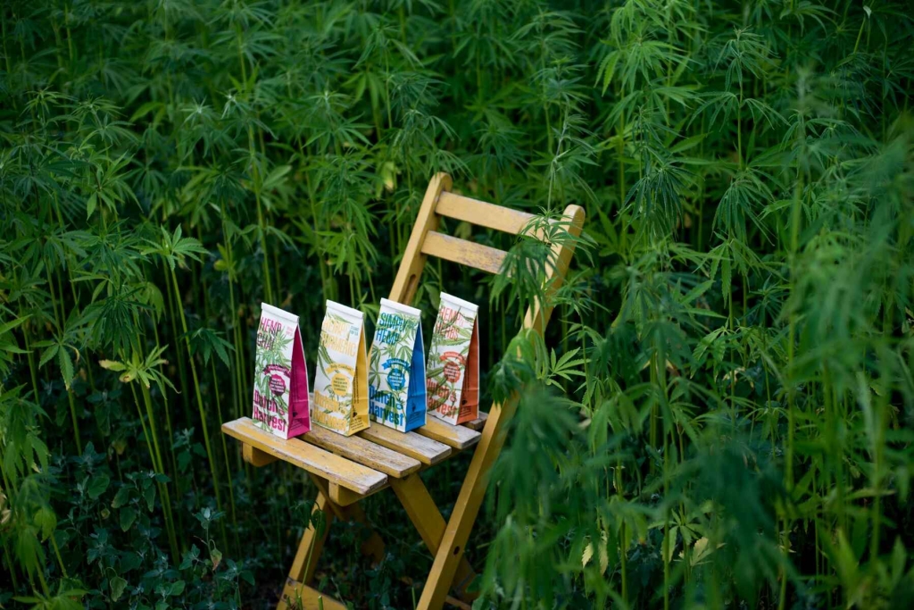 Simply Hemp - Czysty herbata konopna 40 g - Dutch Harvest herbata loose