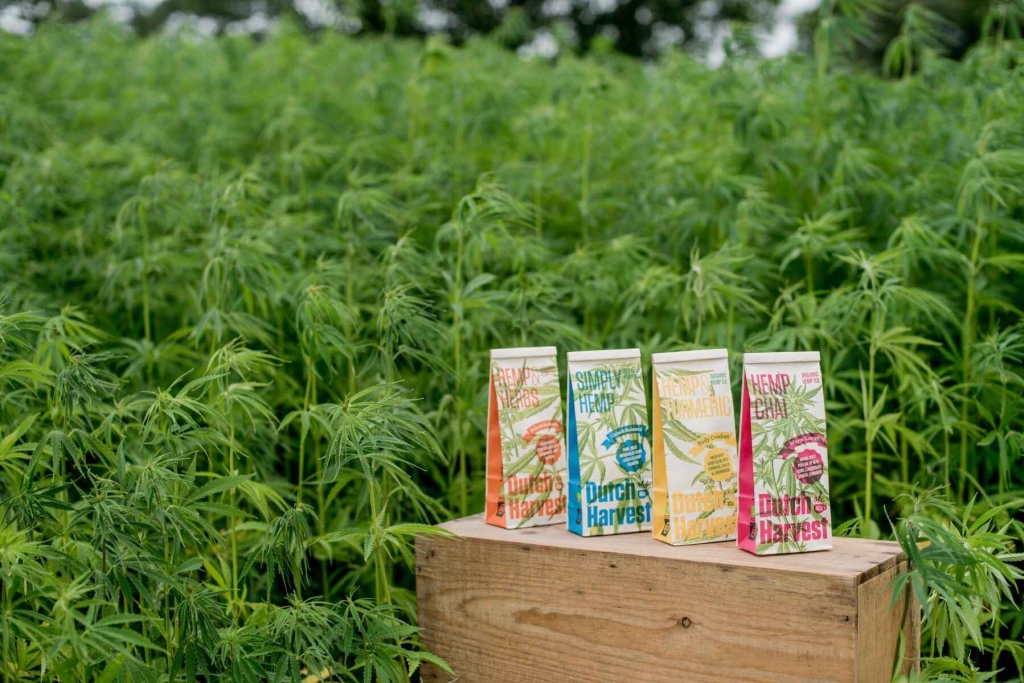 Hemp & Herbs - Mieszanka herbaty z konopi i ziół 40 gram - Dutch Harvest herbata sypana