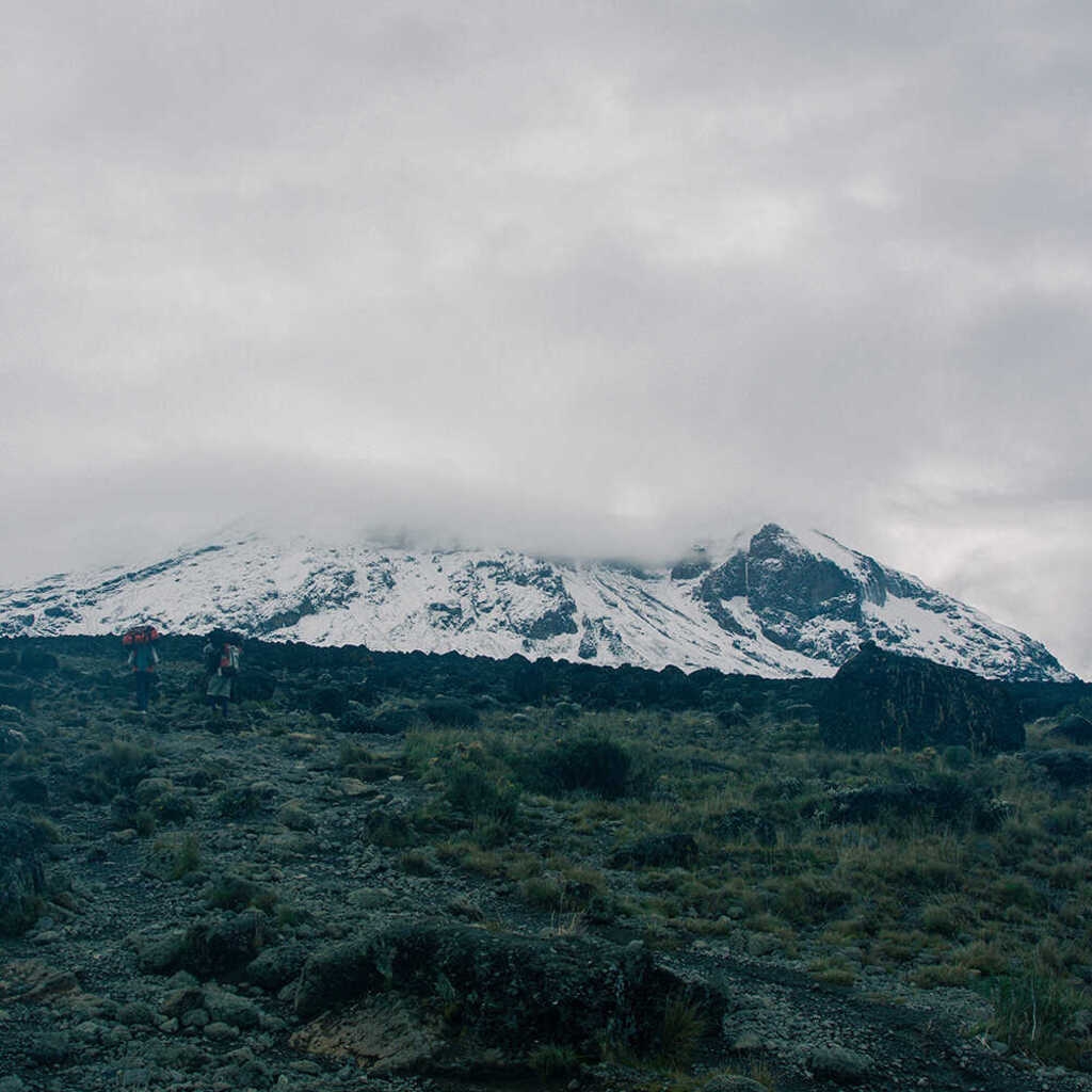 Café du Jour 100% arabika Tanzania