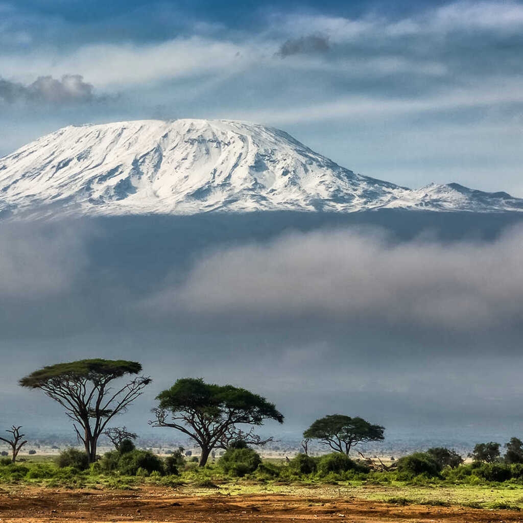 Café du Jour 100% arabika Tanzania