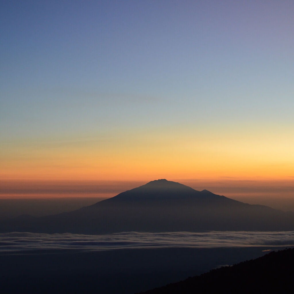 Café du Jour 100% arabika Tanzania
