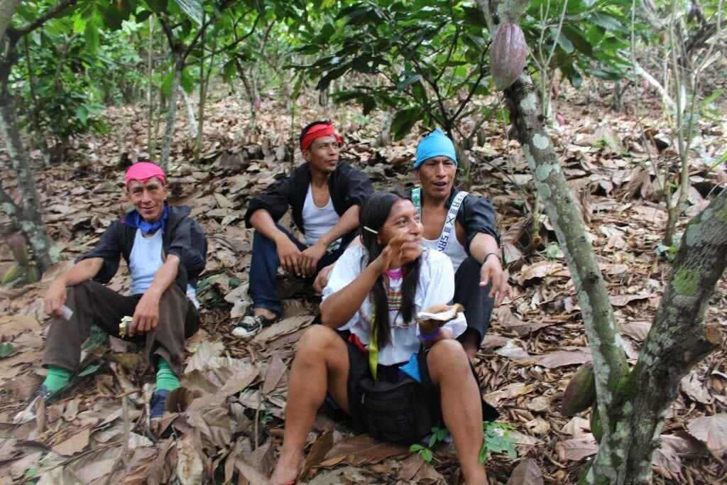 Millésime - Peru Speculoos - 55% czekolada mleczna