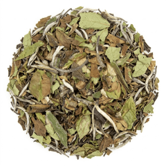 Bai Mudan - herbata biała 100 g - Café du Jour herbata sypka